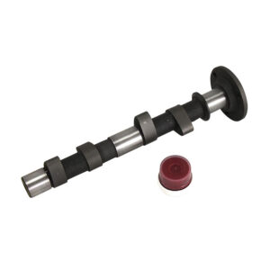 14004 Nokkenas Engle VZ 14