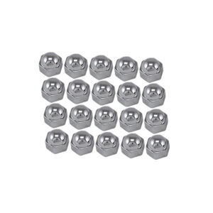 Chroom wielmoerdopjes, Ø 19 mm, 20 stuks