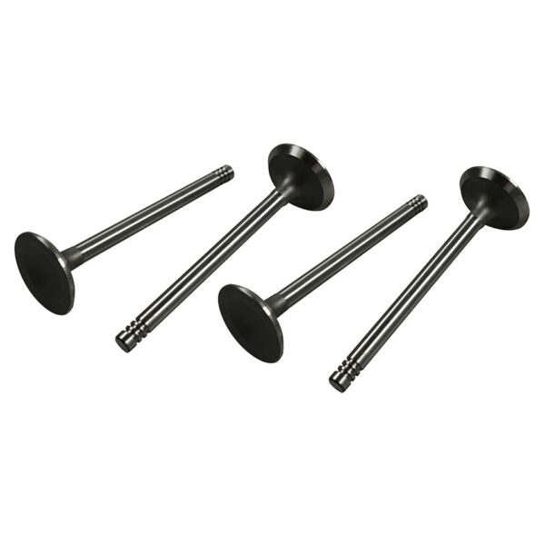 Inlaatkleppen 13-1600CC dubbelpoort