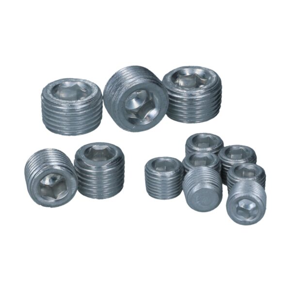 Plugset voor oliekanalen (12)